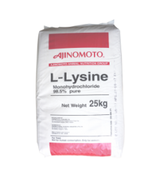 L-LYSINE