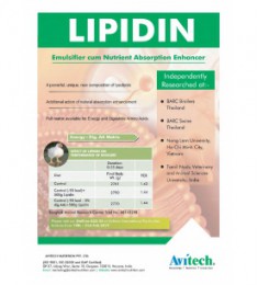 LIPIDIN