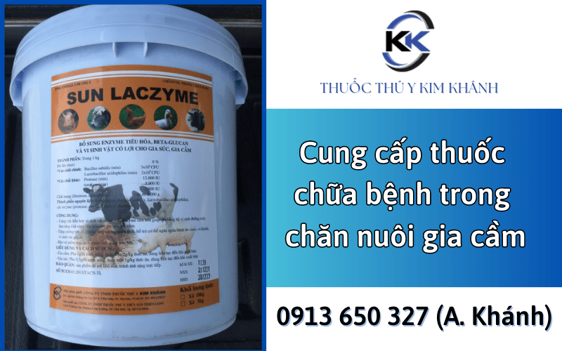 thuốc chữa bệnh trong chăn nuôi gia cầm