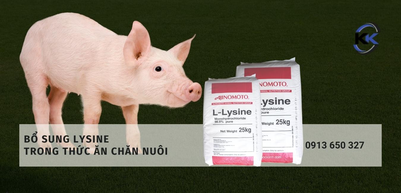 lysine trong thức ăn chăn nuôi