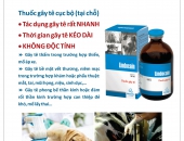 HƯỚNG DẪN SỬ DỤNG THUỐC GÂY TÊ CỤC BỘ VÀ GIẢM ĐAU