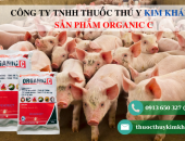 Chủ động tăng cường đề kháng cho heo giúp nâng cao hiệu quả chăn nuôi với sản phẩm Organic C