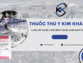 Công ty Kim Khánh - Cung cấp thuốc chữa bệnh trong chăn nuôi thủy sản