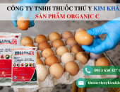 Kỹ thuật nuôi gà đẻ lấy trứng hiệu quả nhất | Bí quyết nuôi gà đẻ siêu trứng từ sản phẩm Organic C