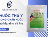 Phân loại thuốc thú y trong chăn nuôi và cách lựa chọn phù hợp