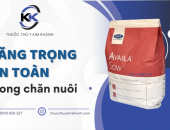 Tăng trọng an toàn trong chăn nuôi cùng Thuốc Thú Y Kim Khánh